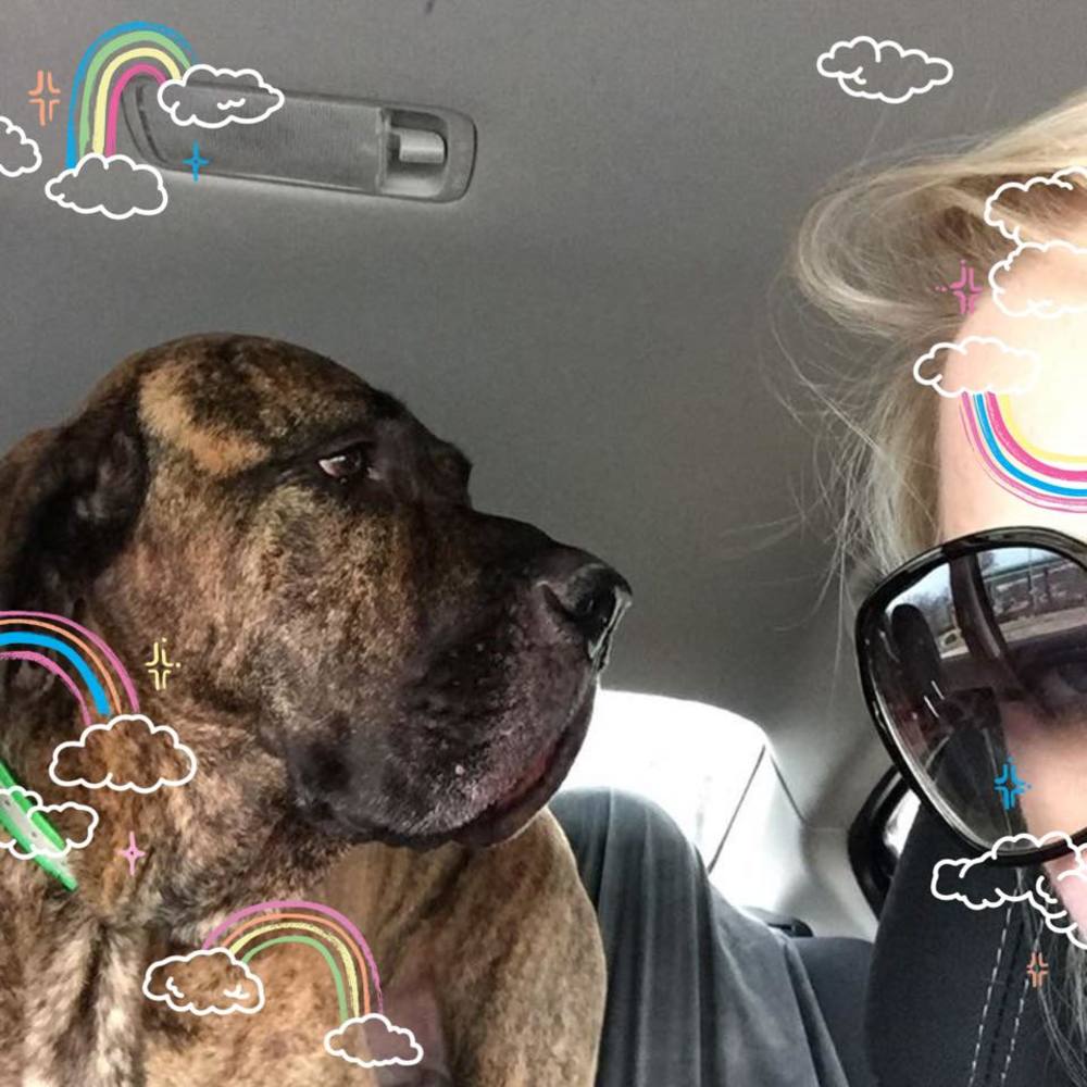 Meet your Posher, Priscilla